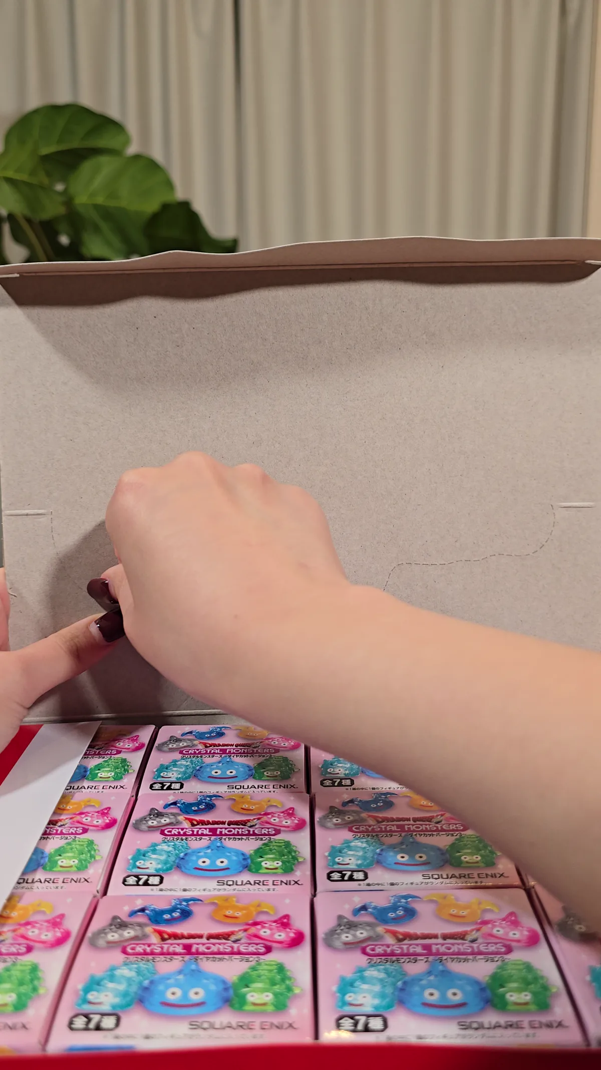 BOXのフタを開けると個装箱12個がぎっしり